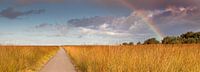 Rainbow panorama High Veluwe