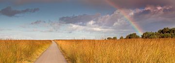 Rainbow panorama High Veluwe by Anton de Zeeuw
