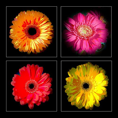 Nightflowers 01