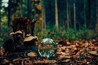lensball