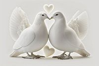 Liebe liegt in der Luft - zwei weiße Turteltauben
