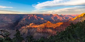 Geweldige zonsondergang Grand Canyon -panorama van Remco Bosshard