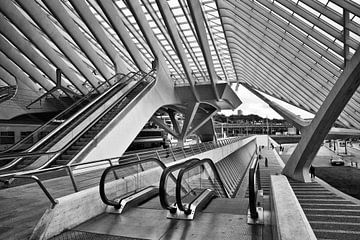 Treinstation Guillemins @ Luik van Rob Boon