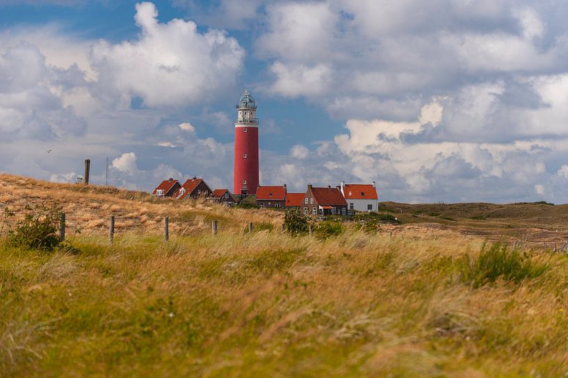 Texel Lighthouse van Brian Morgan