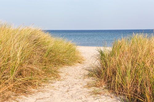 Op het strand van de Baltische Zee