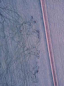 Frost an den Beinen von Nico van Maaswaal