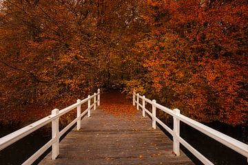 pont blanc sur peterheinspictures