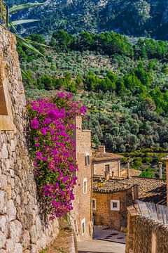 Beautiful view of the mountain village of Fornalutx on Mallorca by Alex Winter