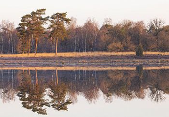 Zonsopkomst Dwingelderveld - Drenthe (Nederland)