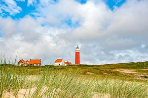 Vuurtoren van Texel in het duinlandschap. van Ron van der Stappen