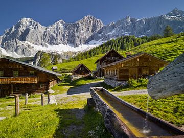 Alpage de Neustatt sur Rainer Mirau