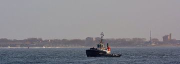 Sleepboot Tiger wachtend  bij Hoek van Holland. van scheepskijkerhavenfotografie