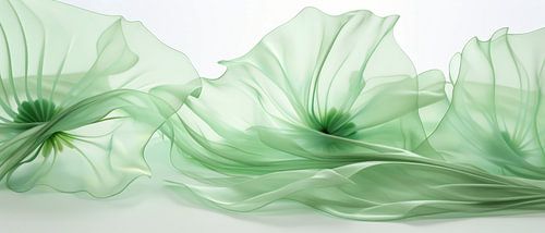 Bloemendans Botanica