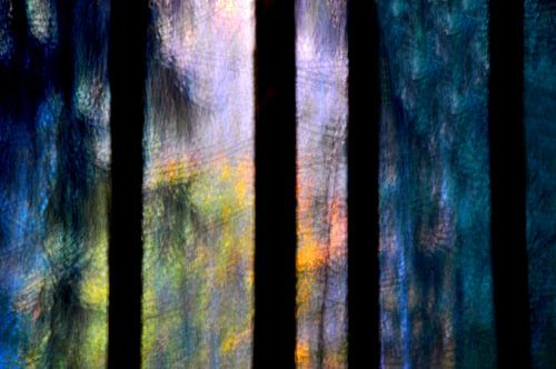 FORÊT DES CONTES 20