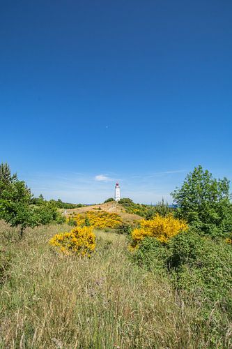 Vuurtoren Am Dornbusch, eiland Hiddensee