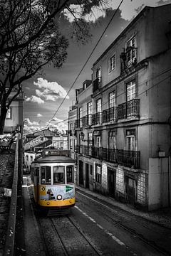 Tram, Lisbon by Jens Korte