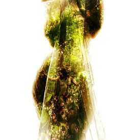 Vrouwen uit het bos van Fotokompost von Lichtgestalt