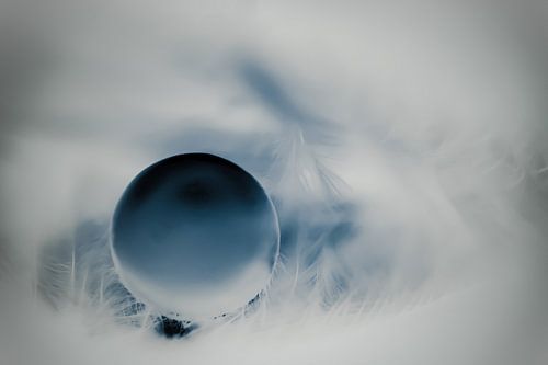 In the morning mist...