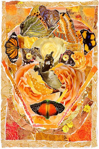 butterflies on my mind