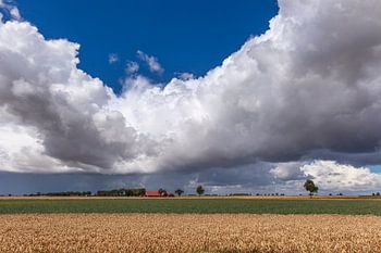 REiderwolderpolder III