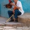 Homme âgé avec un coq dans un décor coloré de Cuba sur Luc V. de Zeeuw