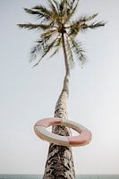 PALM BEACH