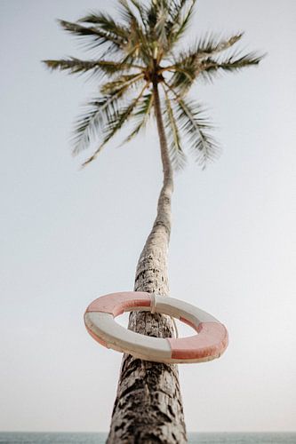 PALM BEACH sur Melchior | Lifestyle Art Photography