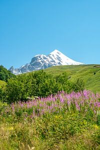 Uitzicht op de Georgische bergtoppen en gletsjers van Leo Schindzielorz