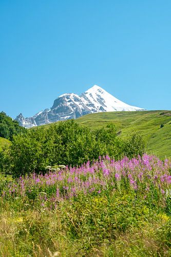 Uitzicht op de Georgische bergtoppen en gletsjers