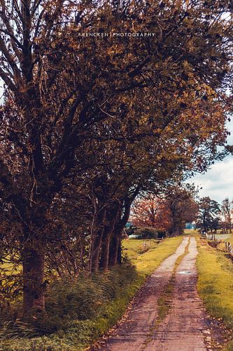 picturesque country road.