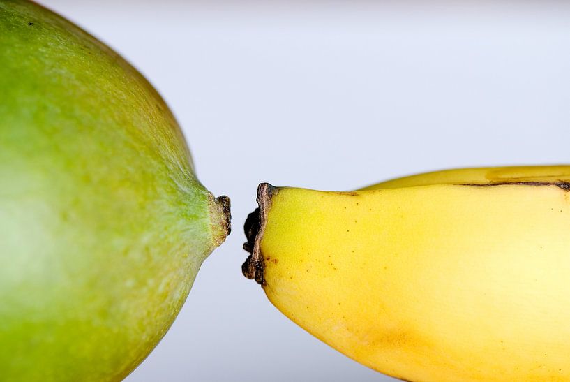 Fruchtale Anziehung von Remke Spijkers