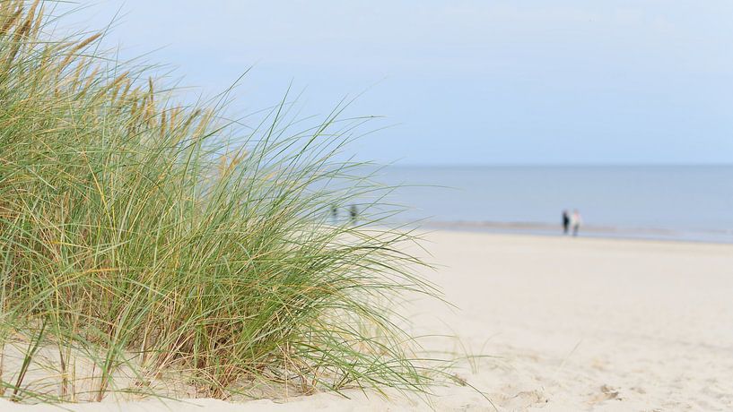 Beach near Swinoujscie on the Polish Baltic coast by Heiko Kueverling
