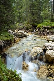 Natur von Sebastian Stef