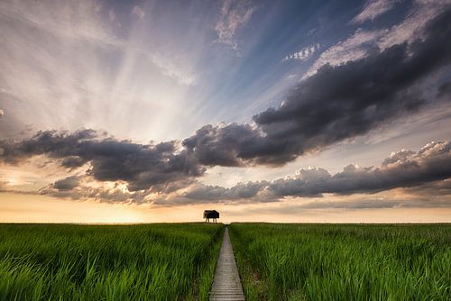 Kiekkaaste aan de Eems in Nieuwe Statenzijl