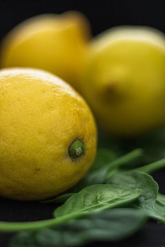 Zitronen auf Spinatblatt von Clazien Boot