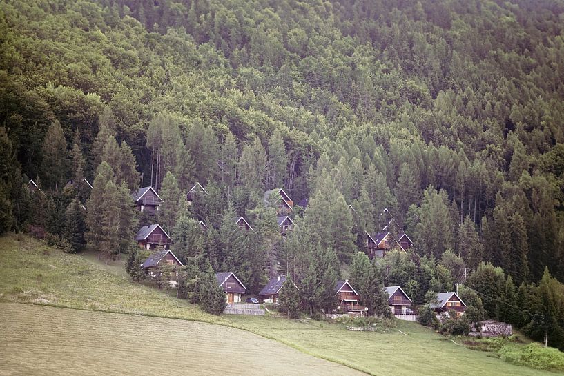 Chalets d’été dans la forêt à Grenoble par The tenderness of landscape