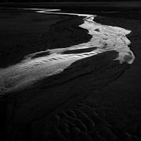 Rising tide on Het Zwin