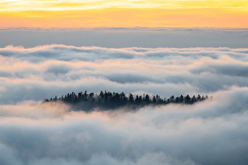 Der Tipp des Tages von Sam Mannaerts