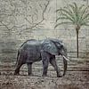 Elephants Journey von Andrea Haase