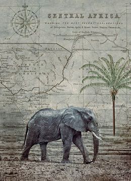 Elephants Journey by Andrea Haase