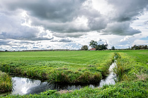 Weiden in Holland
