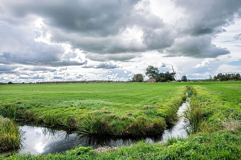 Pastures in Holland by Brian Morgan