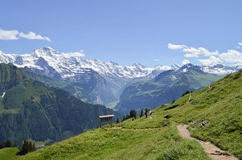 Wandelen in de Alpen