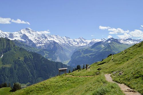 Wandern in den Alpen