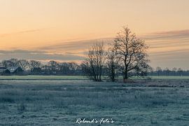 ein kalter Wintermorgen im Januar von Roland's Foto's