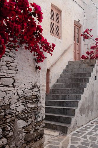 Straatje in Griekenland met roze deur en bougainvillea | reisfotografie print | Paros