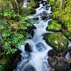 Chute d'eau dans la Forêt Noire, Allemagne sur Anouschka Hendriks