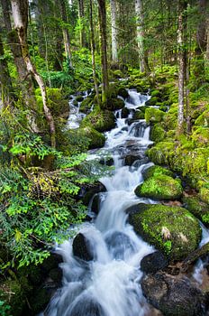 Wasserfall im Schwarzwald, Deutschland