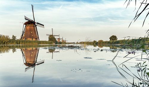 Kinderdijk Nederland schilderachtig