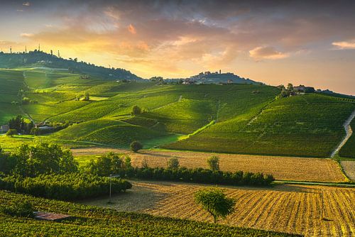 Langhe wijngaarden, Barolo en La Morra